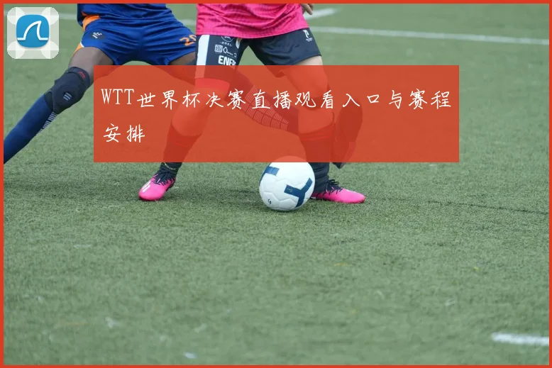 WTT世界杯决赛直播观看入口与赛程安排