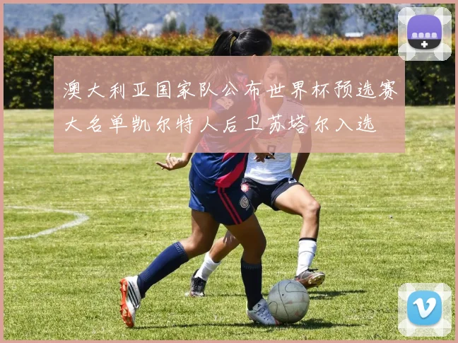 澳大利亚国家队公布世界杯预选赛大名单凯尔特人后卫苏塔尔入选