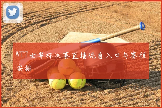 WTT世界杯决赛直播观看入口与赛程安排