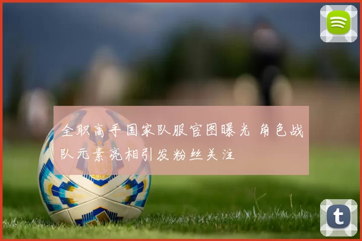 全职高手国家队服官图曝光 角色战队元素亮相引发粉丝关注