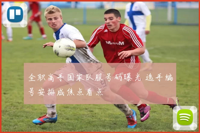 全职高手国家队服号码曝光 选手编号安排成焦点看点